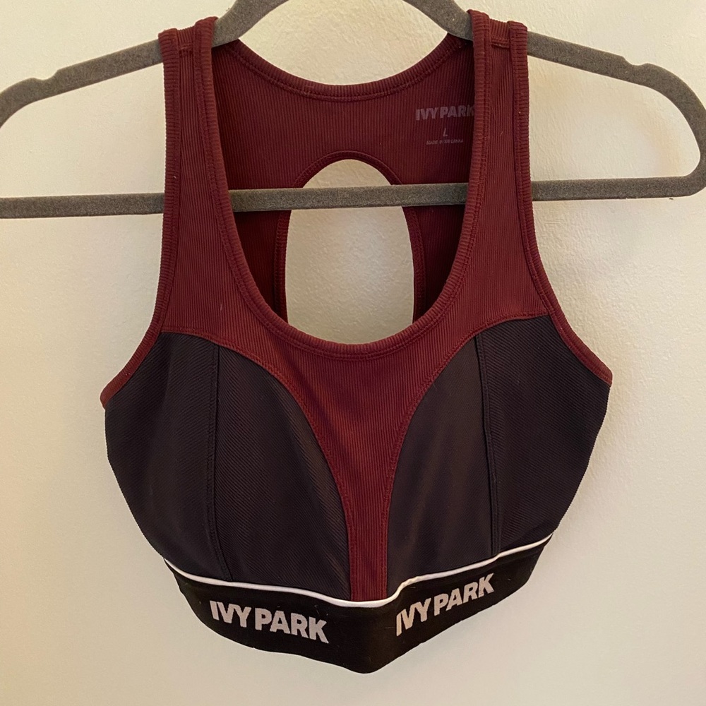 Ivy Park Sports Bra